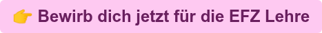  Bewirb dich jetzt für die EFZ Lehre