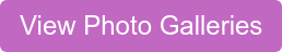 View Photo Galleries