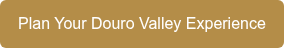 Plan Your Douro Valley Experience