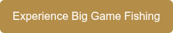 Experience Big Game Fishing