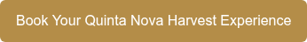 Reserve su quinta nova