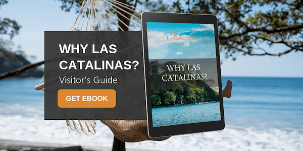 Why Las Catalinas?