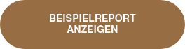 BEISPIELREPORT ANZEIGEN