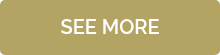 <div>SEE MORE</div>