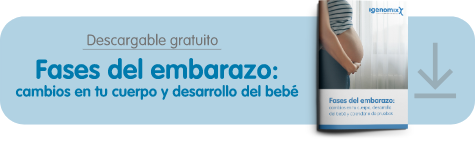 a que semana se encajan los bebes