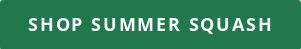 Shop summer Squash
