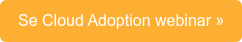 Se Cloud Adoption webinar »