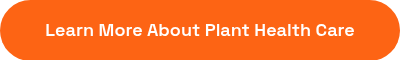 Learn More About Plant Health Care
