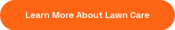 Learn More About Lawn Care