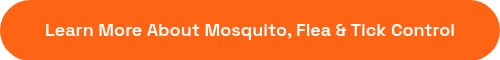 Learn More About Mosquito, Flea &amp; Tick Control