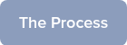 <div>The Process</div>