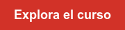 Explora el curso
