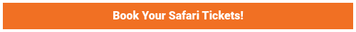 Book Your Safari Tickets!
