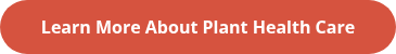 Learn More About Plant Health Care
