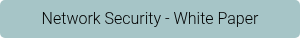 Network Security - White Paper