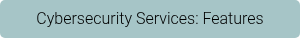 Cybersecurity Services: Features