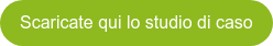 Scaricate qui lo studio di caso