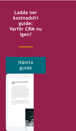 Ladda ner kostnadsfri guide: Varför CRM nu igen? Hämta guide <http://info.stretch.se/se-guide-learning-is-a-business-critical-investment>