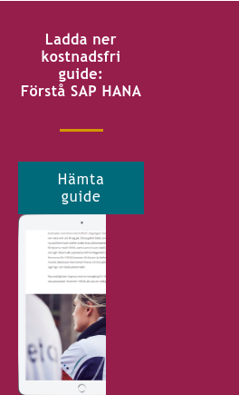 Ladda ner kostnadsfri guide: Förstå SAP HANA Hämta guide <http://info.stretch.se/se-guide-sap-hana>