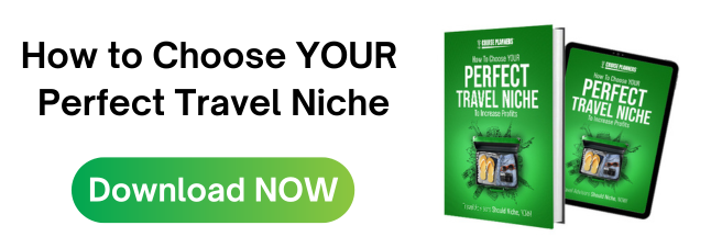 Download the Travel Niche eBook