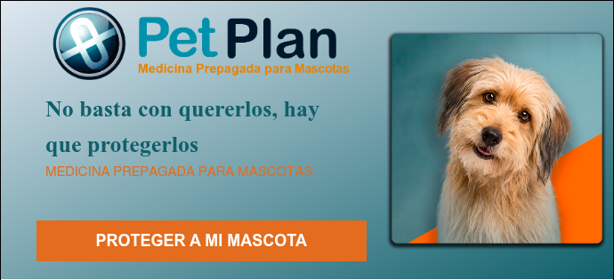 LOGO PETPLAN fondo transparente