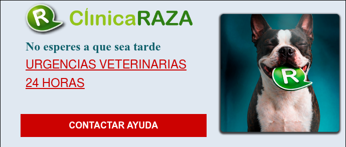 LOGO RAZA-2