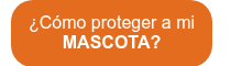 ¿Cómo proteger a mi <strong>MASCOTA?</strong>
