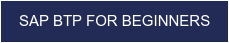 SAP BTP FOR BEGINNERS