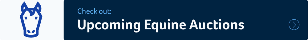 Check out: Upcoming Equine Auctions