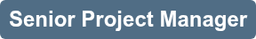 Senior Project Manager