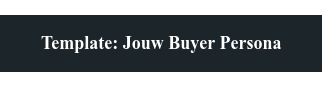 ONTVANG BUYER PERSONA TEMPLATE