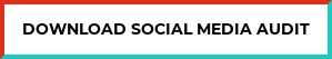Download social media audit