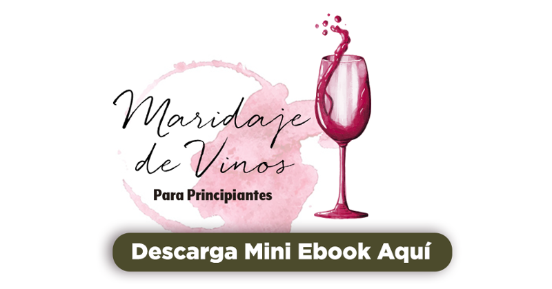 Descargar Mini Ebook