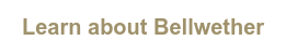 Learn about us