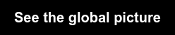 See the global picture
