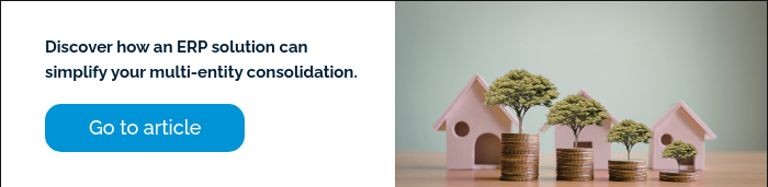 Discover how an ERP solution can simplify your multi-entity consolidation. &nbsp;