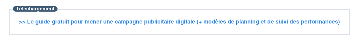 Téléchargement  >> Le guide gratuit pour mener une campagne publicitaire digitale (+ modèles  de planning et de suivi des performances)