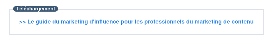 Téléchargez cet e-book sur le marketing d'influence