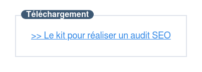 >> Téléchargez ce kit pour réaliser un audit SEO