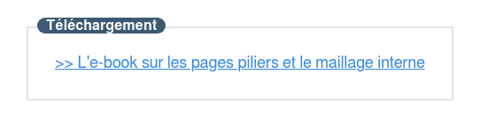 Téléchargez cet e-book sur les pages piliers et le maillage interne