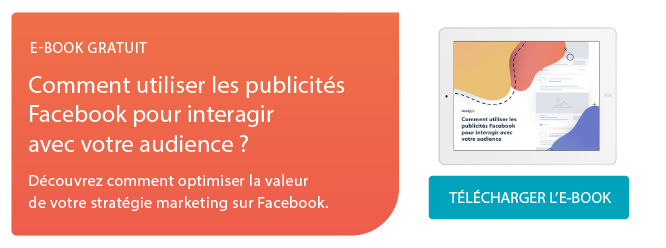 Utiliser-Facebook-Audience