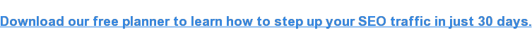 下载我们的免费计划，学习如何加快你的SEO流量在短短30天。