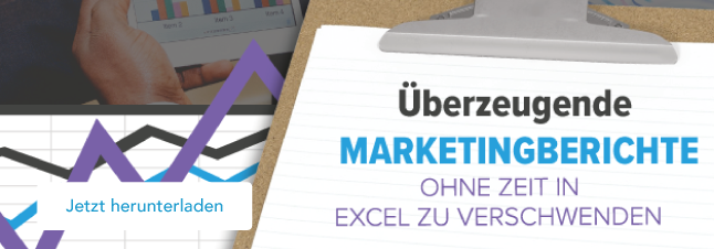 Leitfaden Marketingberichte herunterladen