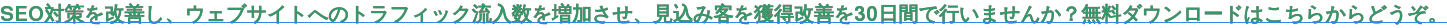 SEO対策を改善し、ウェブサイトへのトラフィック流入数を増加させ、見込み客を獲得改善を30日間で行いませんか?無料ダウンロードはこちらからどうぞ。