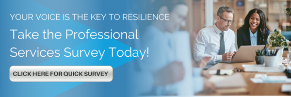 Professional Services Survey