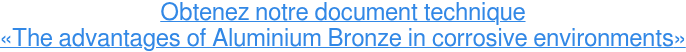 Obtenez notre document technique «The advantages of Aluminium Bronze in corrosive environments»