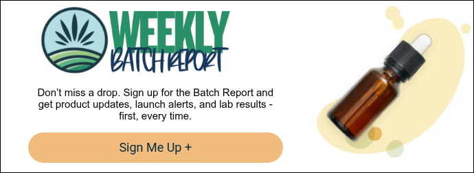 Weekly Batch Report