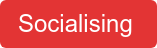 Socialising 