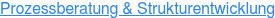 Prozessberatung & Strukturentwicklung