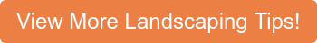 View More Landscaping Tips!